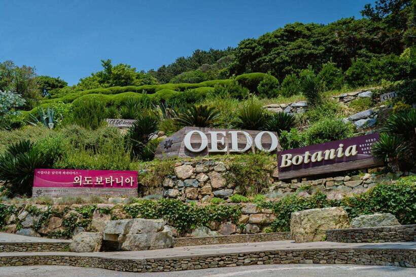 Busan:A2.Hidden Gem Geoje & Oedo Botania Island - Windy Hill in Geoje: calm views and a good start