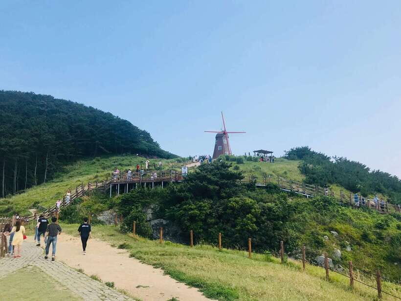 Busan:A2.Hidden Gem Geoje & Oedo Botania Island - Price and value: does $95 add up?