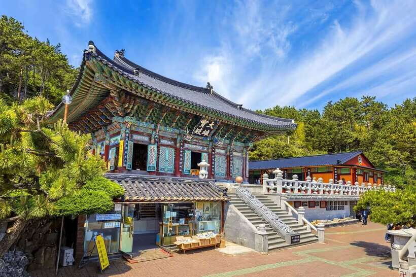 Busan's Best: Sea Temples, Yacht Tour & Sky Capsule Day Tour - Gamcheon Culture Village: art lanes, history vibes, and possible film sets