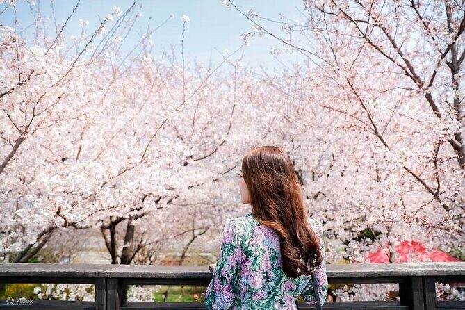 Chasing Cherry Blossom & Spring Flowers Day Tour from Seoul - Key Points You’ll Actually Care About