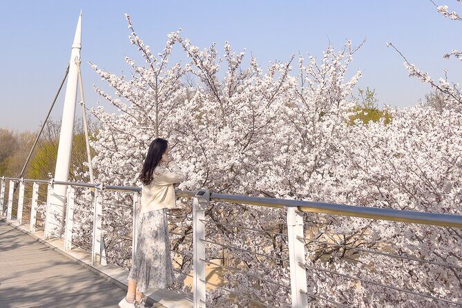 Chasing Cherry Blossom & Spring Flowers Day Tour from Seoul - Guides Make the Difference (Especially When Things Shift)