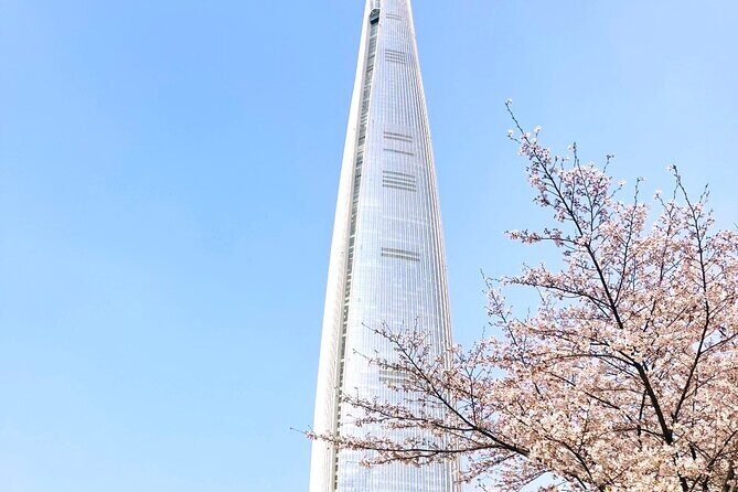 Chasing Cherry Blossom & Spring Flowers Day Tour from Seoul - Who This Cherry Blossom Day Tour Fits Best