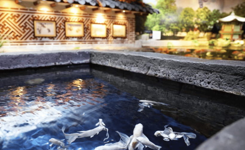 Coex Aquarium Entry Ticket - Touch sea stars and get hands-on at the interactive area