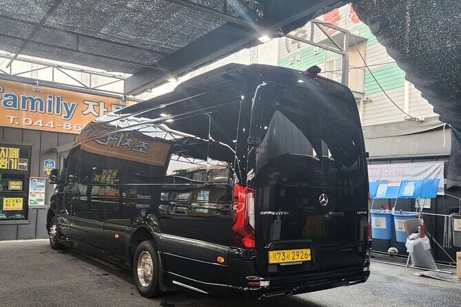 Customizable Private Seoul Tour in luxury van for VIP - Gwangjang Market: Street Food Time Without the Planning Headache