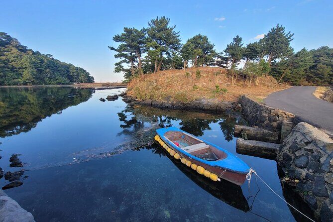 Customized private tour in Jeju island - How The Private Taxi Day on Jeju Actually Runs