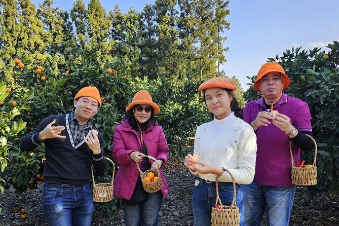 Customized private tour in Jeju island - Language, Drivers, and Avoiding Miscommunication