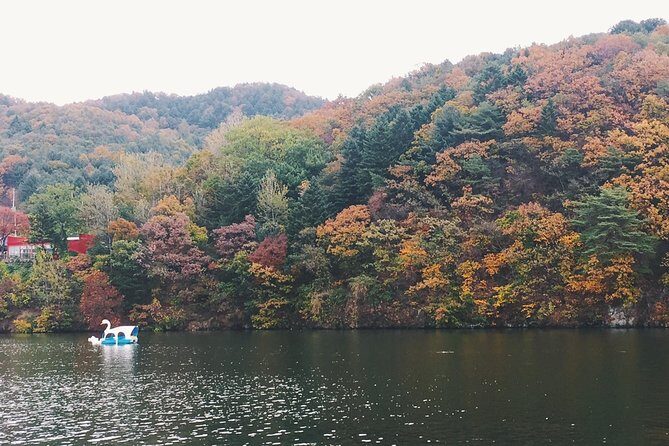 Day Tour to Gangchon Rail Bike Nami Island and Petite France - Getting Going: 8:40 Pickup, Private Group, and Mobile Tickets