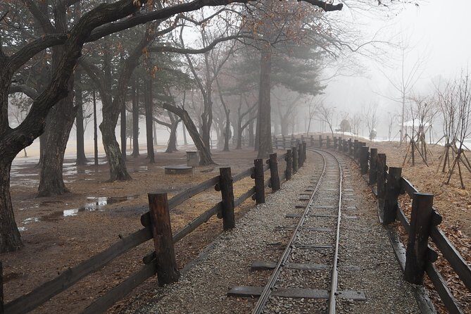 Day Tour to Gangchon Rail Bike Nami Island and Petite France - Nami Island by Ferry: Korean Drama Setting With Island Time
