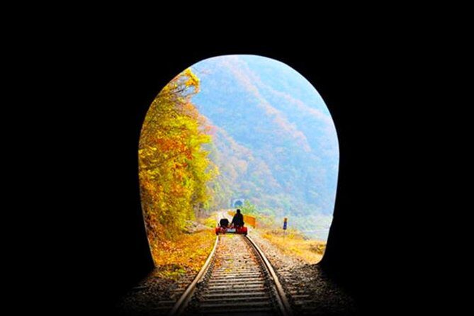 Day Tour to Gangchon Rail Bike Nami Island and Petite France - Guide, Driver, and the Pace You’ll Feel