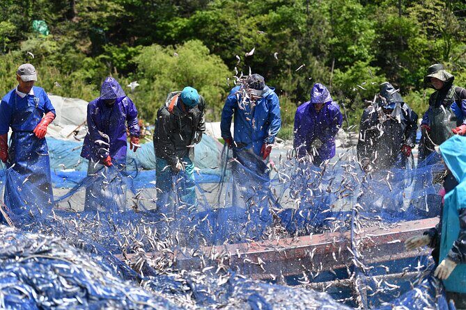 Day trip to beautiful Korean marine national park, Hallyeohaesang - Price and what you’re really paying for ($459 per group up to 8)