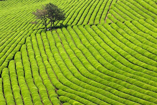 Discover Western Korea in 4days: All-Inclusive Experience - Key highlights you’ll feel immediately