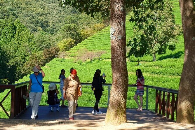 Discover Western Korea in 4days: All-Inclusive Experience - Who this tour fits best (and who might want something looser)