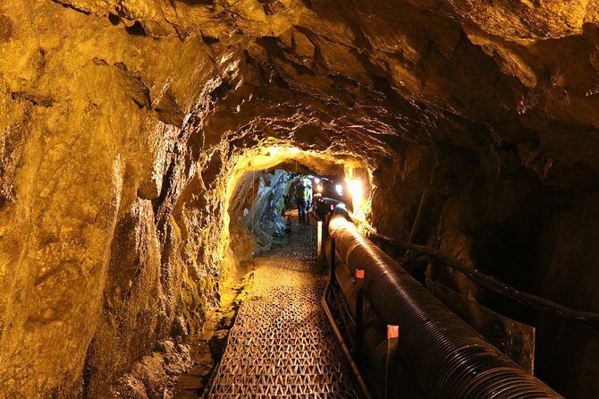 DMZ Tour: 3rd Tunnel, Option(Suspension Bridge, Boat) from Seoul - Key things to know before you go