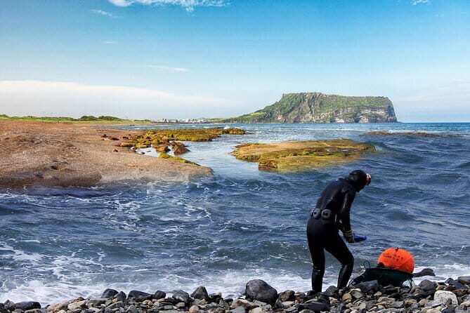 East of Jeju island Bus Tour from Seogwipo city, Jeju island - Should You Book the East Jeju Bus Tour With Jeju Fabio?
