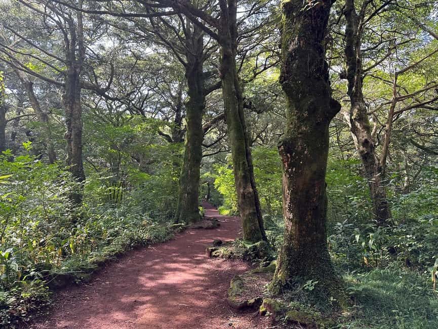 Eastern Jeju Healing UNESCO Small Group Day Tour - Seongsan Ilchulbong Crater Hike: The Accomplishment Moment