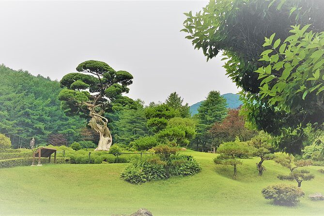 Easy private tour to Nami Island, Garden of Morning Calm - Stop 2: Garden of Morning Calm for four-season design and winter lights