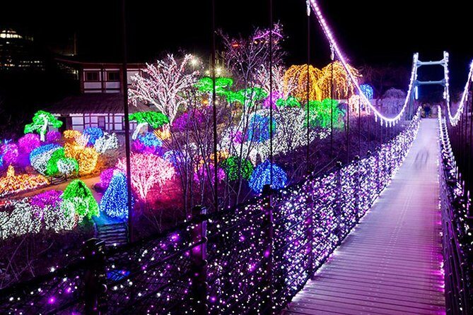 Easy private tour to Nami Island, Garden of Morning Calm - How to time the day for fewer crowds and better photos