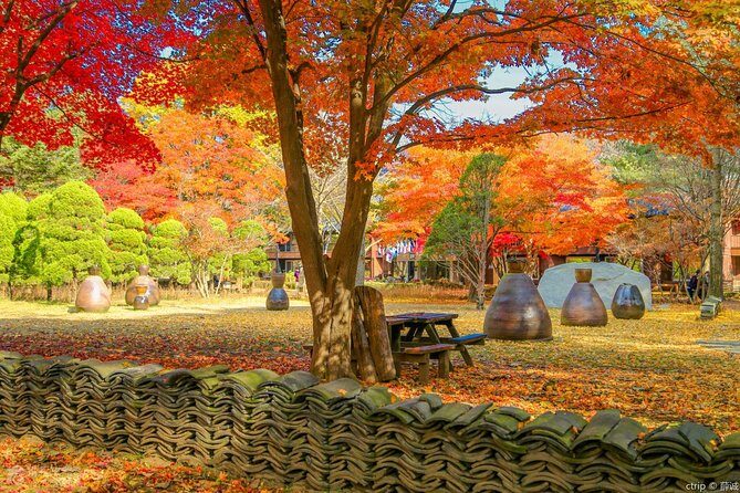 Easy private tour to Nami Island, Garden of Morning Calm - Should you book this tour?