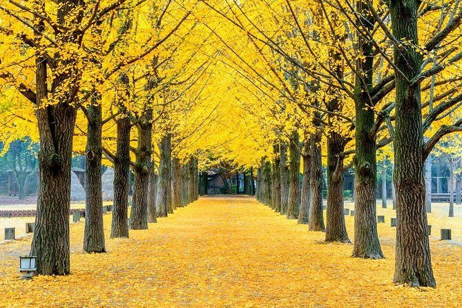 Easy private tour to Nami Island, Garden of Morning Calm - Price and logistics: what $130 really buys