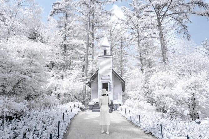 Eobi Ice Valley, Nami Island, Morning Calm and Rail Bike Seoul - A One-Day Seoul-to-Winterland Circuit