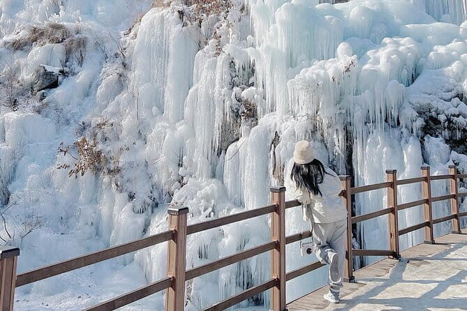 Eobi Ice Valley, Nami Island, Morning Calm and Rail Bike Seoul - Price and What You’re Really Paying For ($87.48)