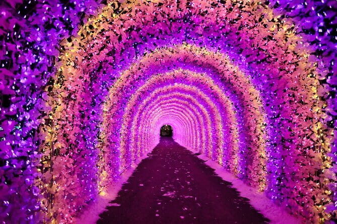 Eobi Ice Valley, Nami Island, Morning Calm and Rail Bike Seoul - Should You Book This Tour?
