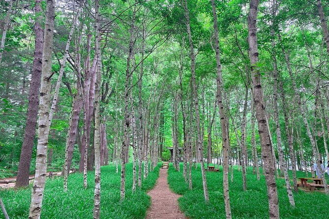 Eobi+Nami+Hanbok Tour with Rail Bike or Strawberry Option - Group pace, timing, and where this tour can feel tight
