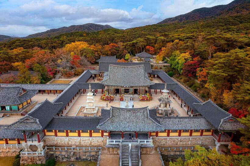 From Busan: Gyeongju Full-Day Historical Tour - Key things to notice before you go