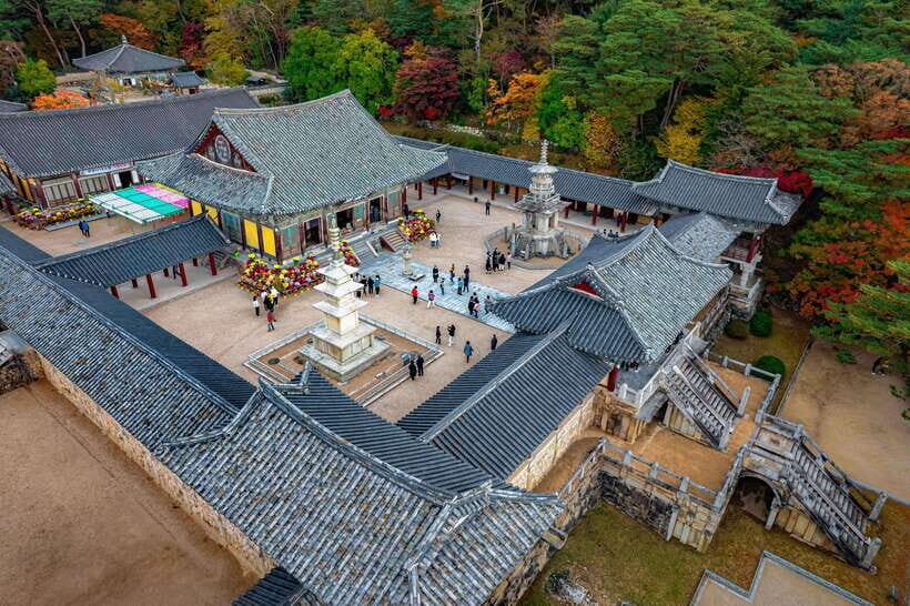 From Busan: Gyeongju Full-Day Historical Tour - Bulguksa Temple: the best first stop for setting the tone