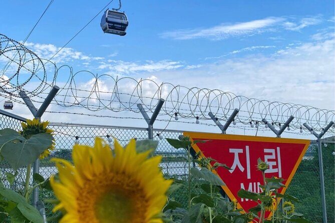 From Seoul: Cost-Benefit DMZ Shuttle Bus tour - Price And Value: What You’re Really Paying For