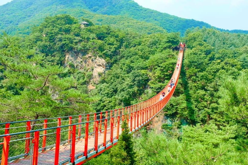 From Seoul: DMZ The 3rd Tunnel and Suspension Bridge Tour - Seoul pickup, shared transport, and the long drive north