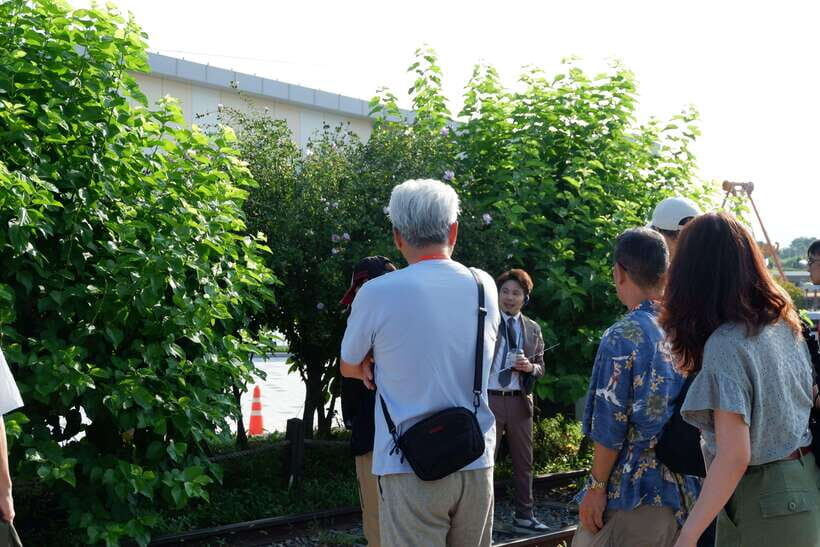 From Seoul: DMZ Tour with Japanese-Speaking Guide - Dora Observatory on Mountain Dora: a controlled view of North Korea