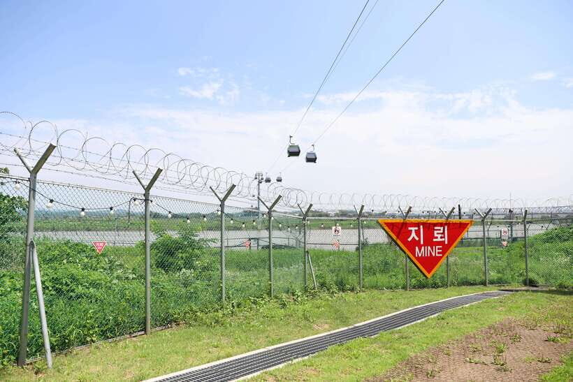 From Seoul: DMZ Tour with Japanese-Speaking Guide - What the guide brings (and why it shows up in the reviews)