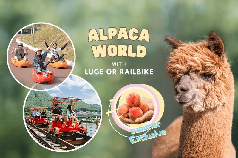 From Seoul: Full Day Trip to Alpaca Farm with Rail Bike - A packed 10-hour day trip that feels like two different worlds