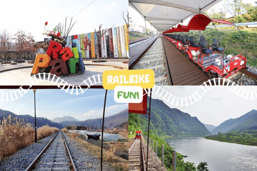 From Seoul: Full Day Trip to Alpaca Farm with Rail Bike - Alpaca World: what you’ll do on the farm (and why it’s more than cute photos)