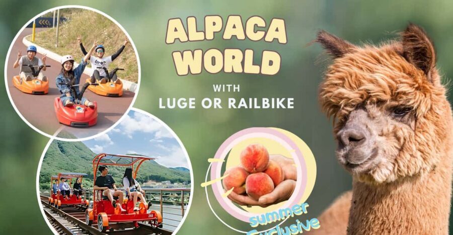 From Seoul: Full Day Trip to Alpaca Farm with Rail Bike - Vivaldi Park Luge World: speed without snow, plus strict rules