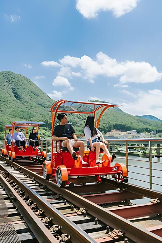 From Seoul: Full Day Trip to Alpaca Farm with Rail Bike - Who this tour is best for (and who should skip it)
