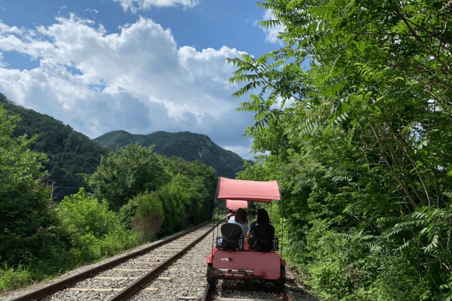 From Seoul: Full Day Trip to Alpaca Farm with Rail Bike - Riding out of Seoul: meeting points and how the day actually starts
