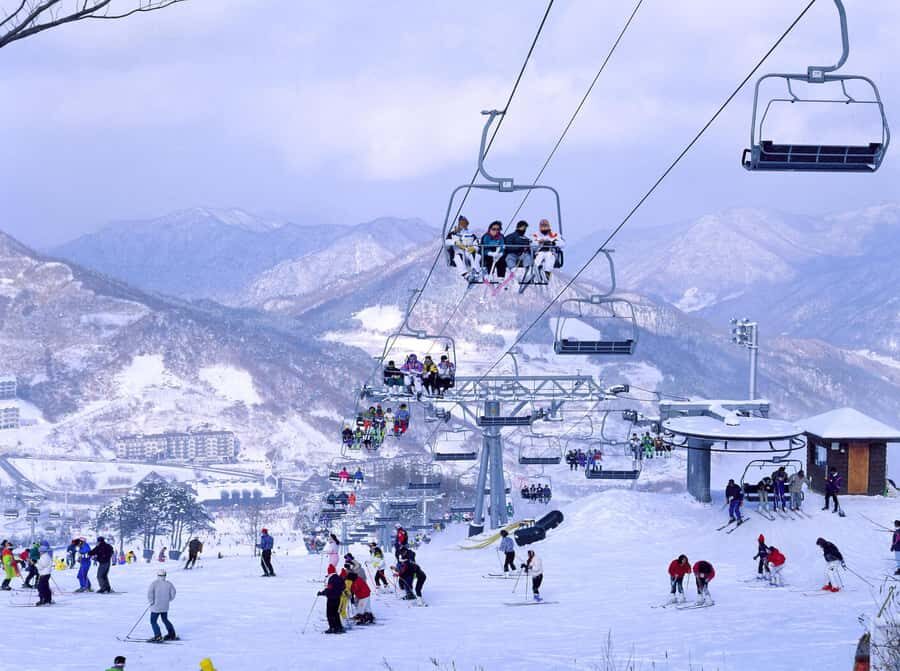 From Seoul: Korea Ski Tour - Jisan Forest Resort - The 2-hour beginner ski lesson: where confidence comes from