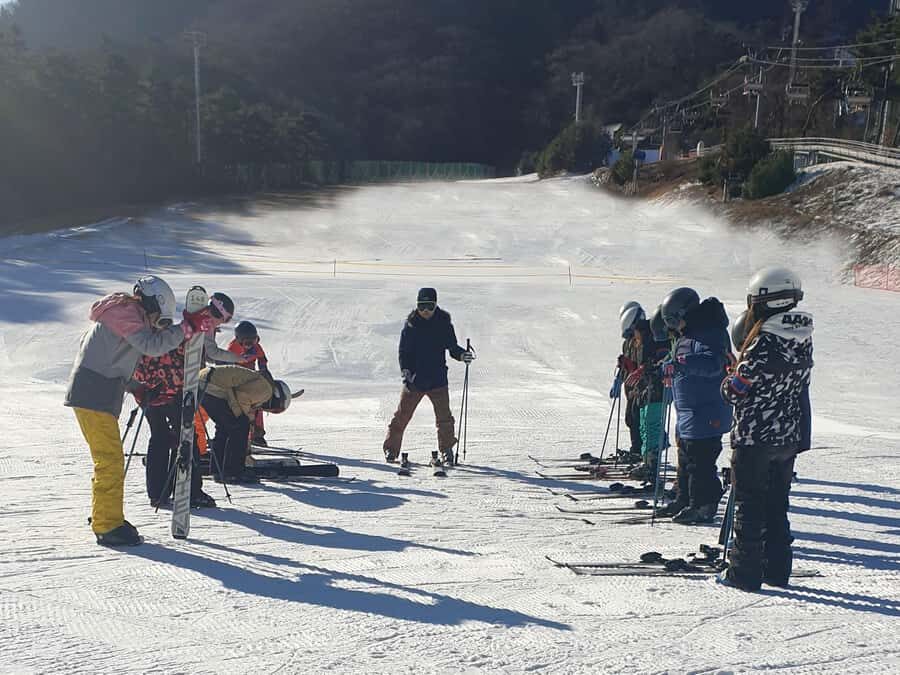 From Seoul: Korea Ski Tour - Jisan Forest Resort - Winter photos, warm breaks, and the small details that matter