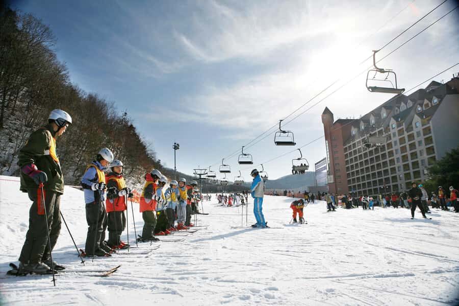 From Seoul: Korea Ski Tour - Jisan Forest Resort - Ski gear, suit, and what you should bring for a smoother day