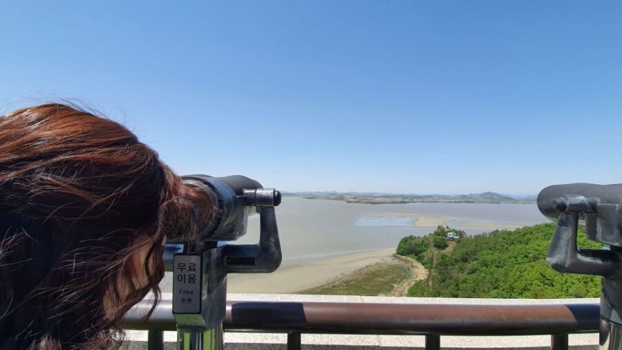 From Seoul: Private DMZ and Odusan Observatory Full-Day Tour - From Seoul to the Border: What You’ll Learn on the Drive