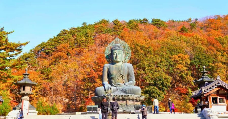 From Seoul: Seoraksan Mountain with Cable Car- Shuttle Bus - Key Highlights You Should Care About