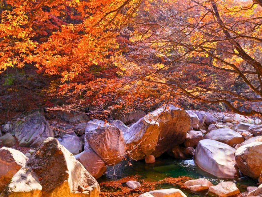From Seoul: Seoraksan Mountain with Cable Car- Shuttle Bus - Autumn in October: What You’ll See (and What Might Change)