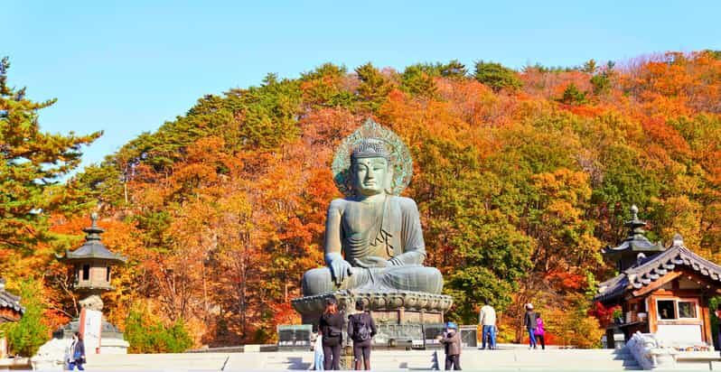 From Seoul: Seoraksan Mountain with Cable Car- Shuttle Bus - Guide Impact: English/Chinese Support and Real Names