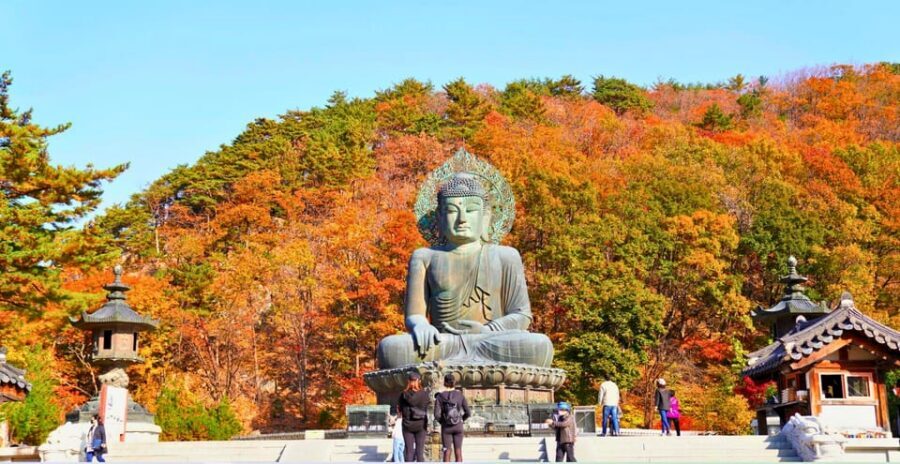 From Seoul: Seoraksan Mountain with Cable Car- Shuttle Bus - Price and Value: Does $67 Make Sense?