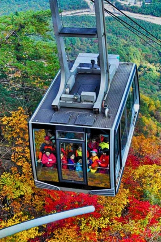 From Seoul: Seoraksan Mountain with Cable Car- Shuttle Bus - What the Day Feels Like: A Walk Through the Experience