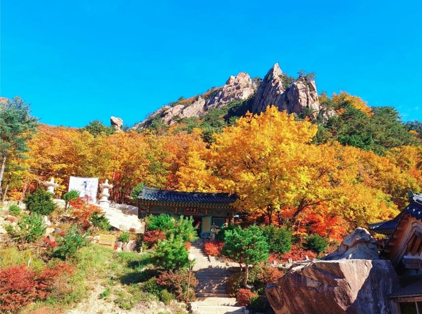 From Seoul: Seoraksan Mountain with Cable Car- Shuttle Bus - Who This Seoraksan Trip Is Best For