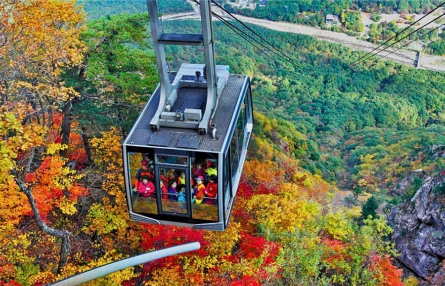 From Seoul: Seoraksan Mountain with Cable Car- Shuttle Bus - Sinheungsa Temple and the 14-Meter Gwaneumjeon Buddha