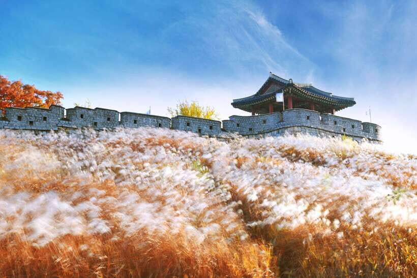 From Seoul: Suwon Hwaseong Fortress Tour - Key highlights you should plan around